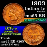 1903 Indian Cent 1c Grades GEM Unc RB (fc)