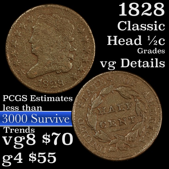 1828 Classic Head half cent 1/2c Grades vg details