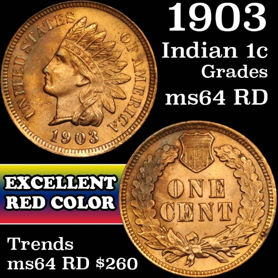 1903 Indian Cent 1c Grades Choice Unc RD (fc)