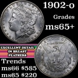 1902-o Morgan Dollar $1 Grades GEM+ Unc (fc)