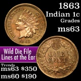 1863 Indian Cent 1c Grades Select Unc (fc)