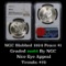 NGC 1924-p Peace Dollar $1 Graded ms64 by NGC