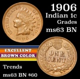 1906 Indian Cent 1c Grades Select Unc BN