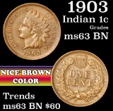 1903 Indian Cent 1c Grades Select Unc BN