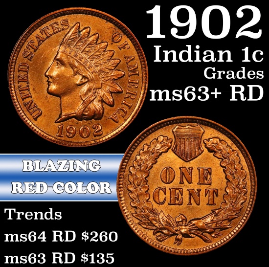 1902 Indian Cent 1c Grades Select+ Unc RD
