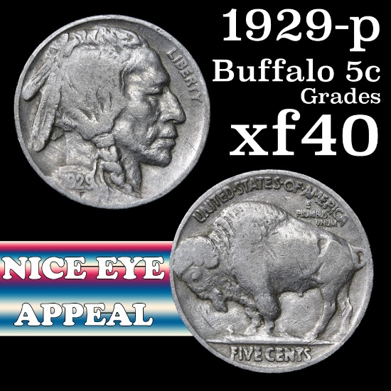 1929-p Buffalo Nickel 5c Grades xf