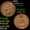 1893 Great Eye Appeal . Indian Cent 1c Grades Choice+ Unc BN