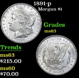 1891-p . . Morgan Dollar $1 Grades Select Unc