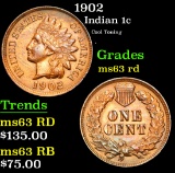 1902 Cool Toning . Indian Cent 1c Grades Select Unc RD