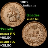 1902 . . Indian Cent 1c Grades Select Unc BN