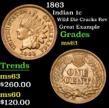 1863 Wild Die Cracks Rev Great Example Indian Cent 1c Grades Select Unc