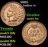 1901 . . Indian Cent 1c Grades Select Unc BN