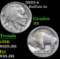 1923-s . . Buffalo Nickel 5c Grades f+