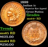 1899 Indian Cent 1c Grades Choice+ Unc RD