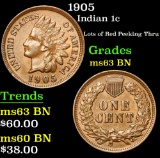 1905 Indian Cent 1c Grades Select Unc BN