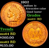 1902 Indian Cent 1c Grades Select+ Unc RD