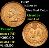 1902 Indian Cent 1c Graded Choice Unc RD