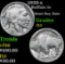 1920-s Buffalo Nickel 5c Grades f+