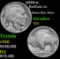 1919-s Buffalo Nickel 5c Grades f+