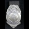 Vintage Deputy Sheriff Badge