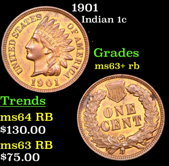 1901 Indian Cent 1c Grades Select+ Unc RB