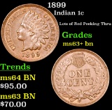 1899 Indian Cent 1c Grades Select+ Unc BN