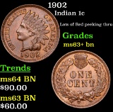 1902 Indian Cent 1c Grades Select+ Unc BN