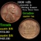 1909 vdb Lincoln Cent 1c Grades Choice+ Unc BN