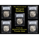 5 Unc Morgan $1 Graded By PCGS Mixed Dates From The McClaren Collection