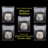 5 Unc Morgan $1 Graded By PCGS Mixed Dates From The McClaren Collection