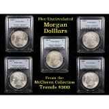 5 Unc Morgan $1 Graded By PCGS Mixed Dates From The McClaren Collection