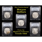 5 Unc Morgan $1 Graded By PCGS Mixed Dates From The McClaren Collection