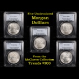 5 Unc Morgan $1 Graded By PCGS Mixed Dates From The McClaren Collection Grades