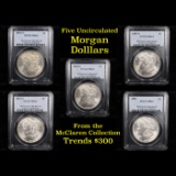 5 Unc Morgan $1 Graded By PCGS Mixed Dates From The McClaren Collection Grades