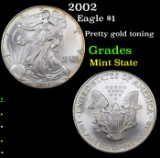 2002 Silver Eagle Dollar $1 Grades Mint State