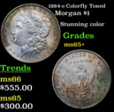 1884-o Colorfully Toned Morgan Dollar $1 Grades GEM+ Unc