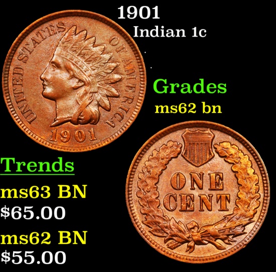 1901 Indian Cent 1c Grades Select Unc BN