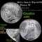 1923-s Vam 1c Top 50 R6 Peace Dollar $1 Grades Choice AU