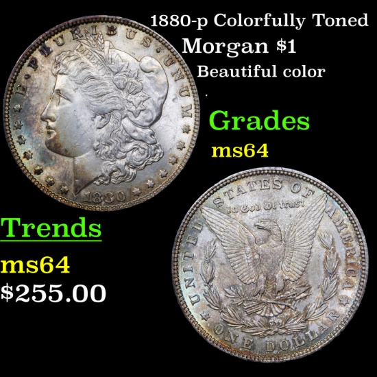1880-p Colorfully Toned Morgan Dollar $1 Grades Choice Unc