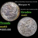 1902-p Colorfully Toned Vam 19 I3 R5 Morgan Dollar $1 Grades Select Unc