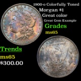 1900-o Colorfully Toned Morgan Dollar $1 Grades GEM Unc