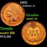 1901 Indian Cent 1c Grades Select Unc RB