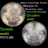 1880-s Colorfully Toned Morgan Dollar $1 Grades GEM Unc