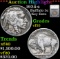 ***Auction Highlight*** 1924-s Buffalo Nickel 5c Graded vf35 By SEGS (fc)