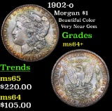 1902-o Morgan Dollar $1 Grades Choice+ Unc