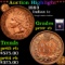 Proof ***Auction Highlight*** 1883 Indian Cent 1c Graded Select+ Proof RB By USCG (fc)