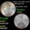 1886-p colorfully toned Morgan Dollar $1 Grades Select Unc