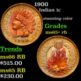 1900 Indian Cent 1c Grades Gem+ Unc RB