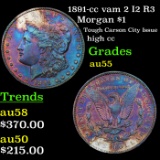 1891-cc vam 2 I2 R3 Morgan Dollar $1 Grades Choice AU