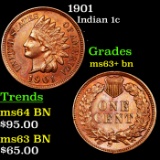 1901 Indian Cent 1c Grades Select+ Unc BN